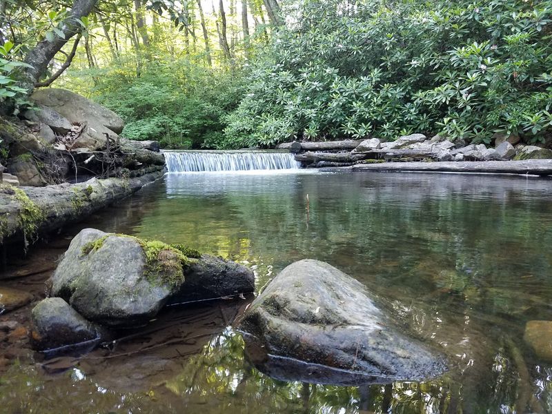 Rapid Run Gives The Park Its Sparkle