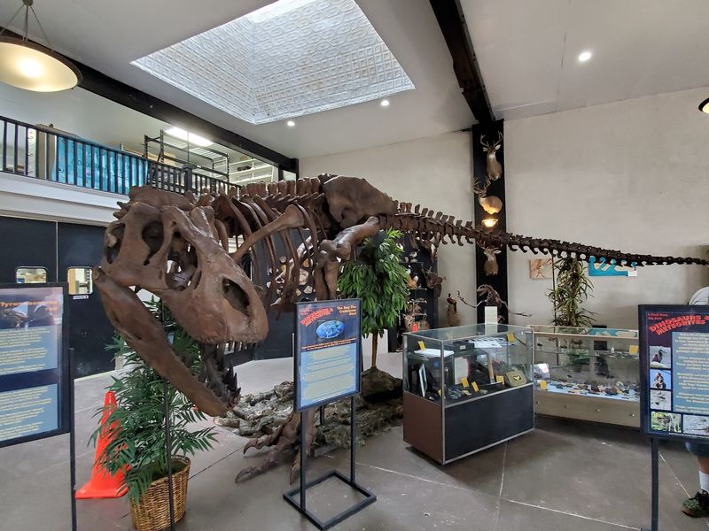 Real Fossils You Can Actually See Up Close Real Fossils You Can Actually See Up Close