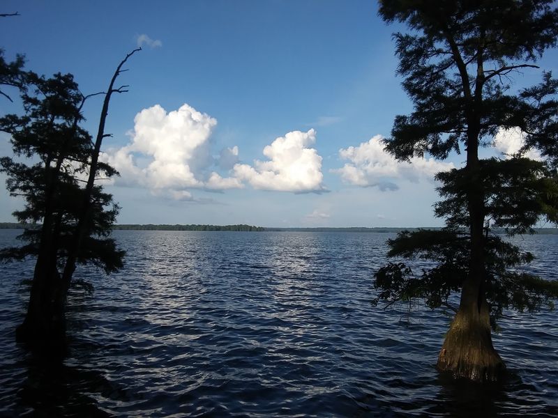 Reelfoot Lake Reelfoot Lake