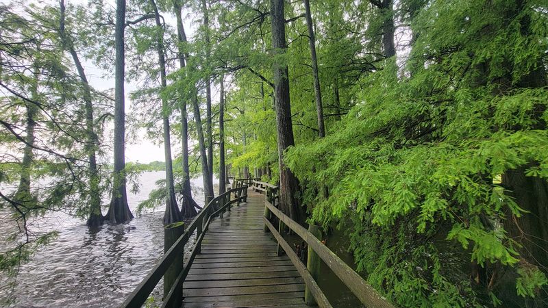 Reelfoot Lake State Park, Tiptonville