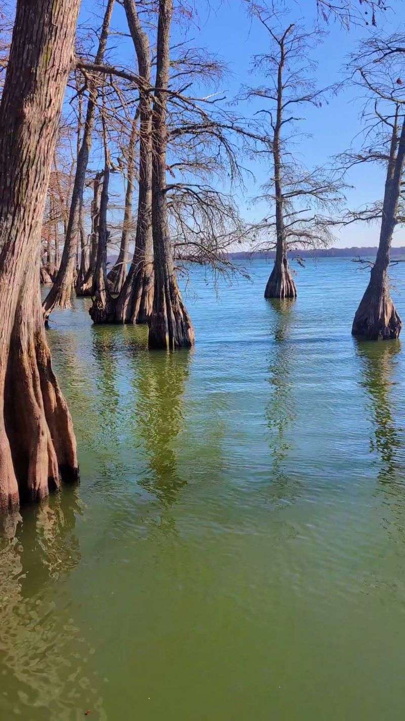 Reelfoot Lake State Park, Tiptonville Reelfoot Lake State Park, Tiptonville