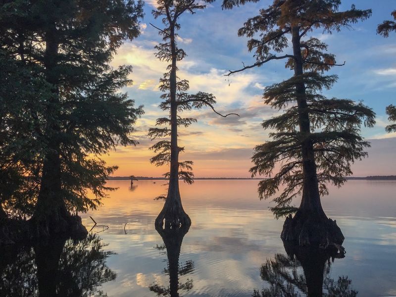 Reelfoot Lake State Park, Tiptonville Reelfoot Lake State Park, Tiptonville