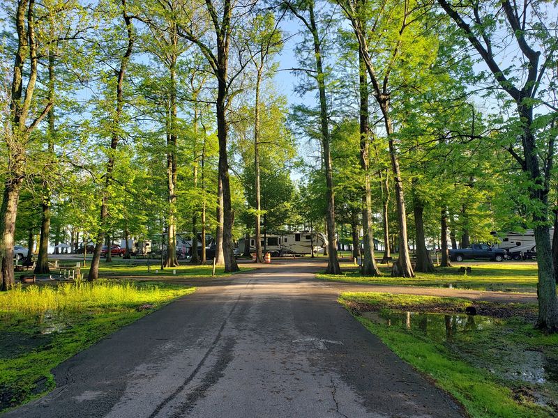 Reelfoot Lake State Park, Tiptonville