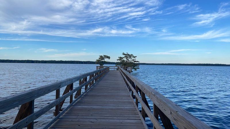 Reelfoot Lake State Park in Tiptonville