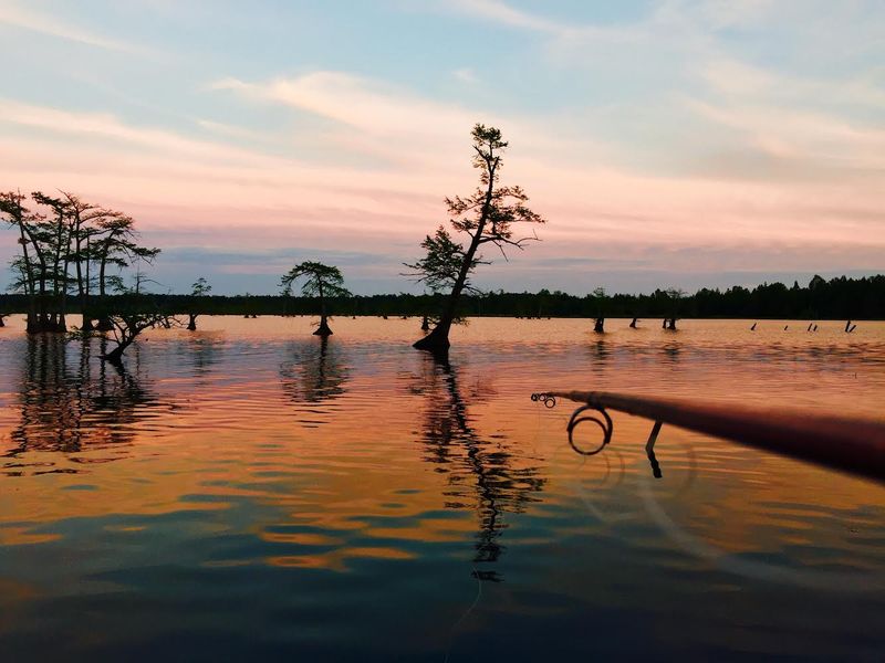 Reelfoot Lake Reelfoot Lake