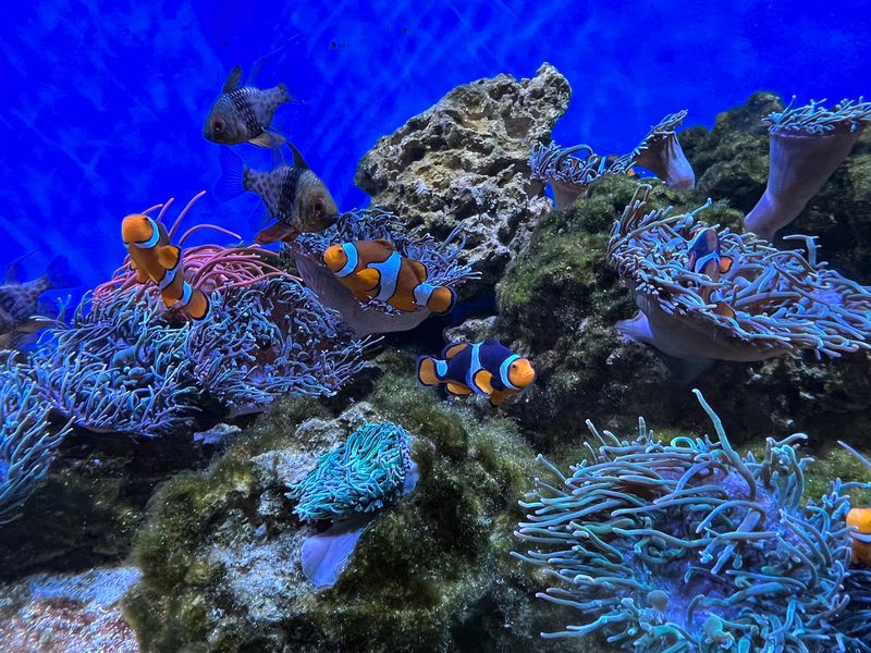 Rescue And Conservation Work Add Heart