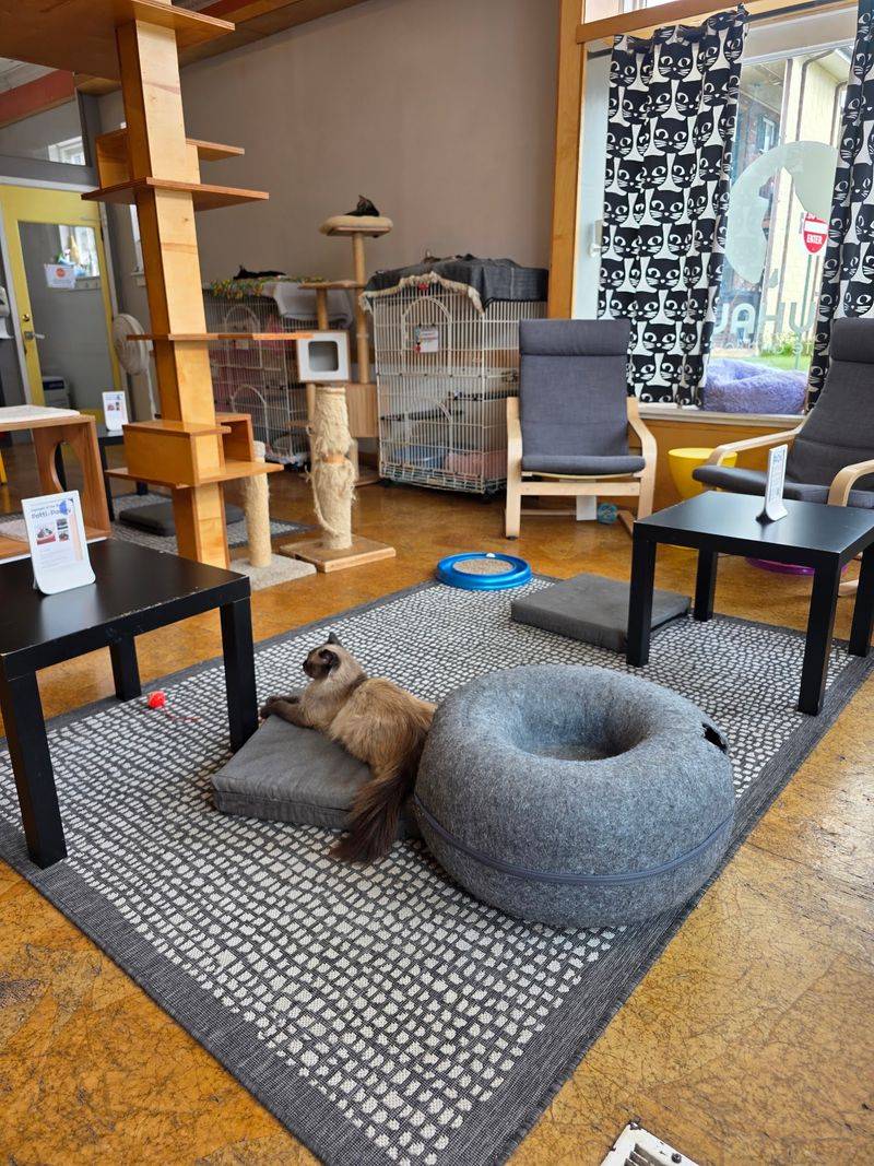 Reservations Keep the Visit Smooth and Comfortable