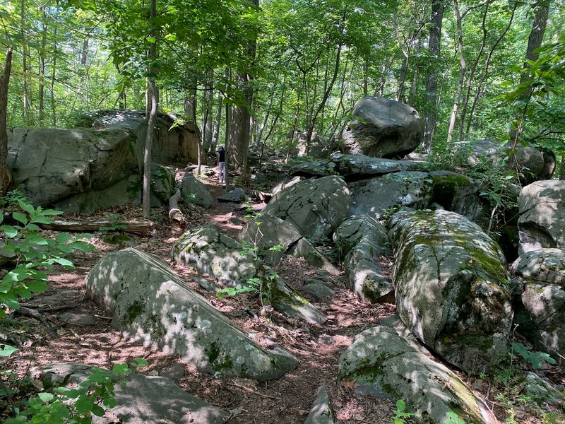 Ridge Trail - Sourland Mountain Preserve Ridge Trail - Sourland Mountain Preserve