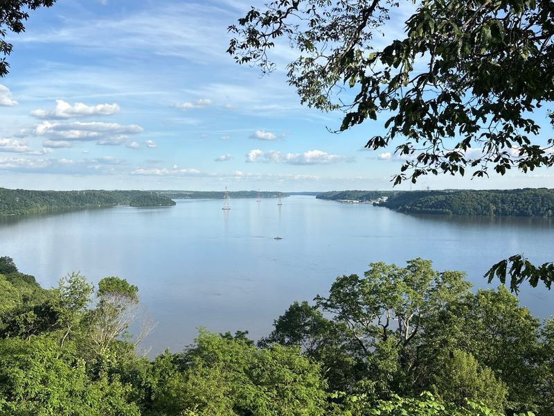 River Views Stretch Far Beyond the Trees River Views Stretch Far Beyond the Trees