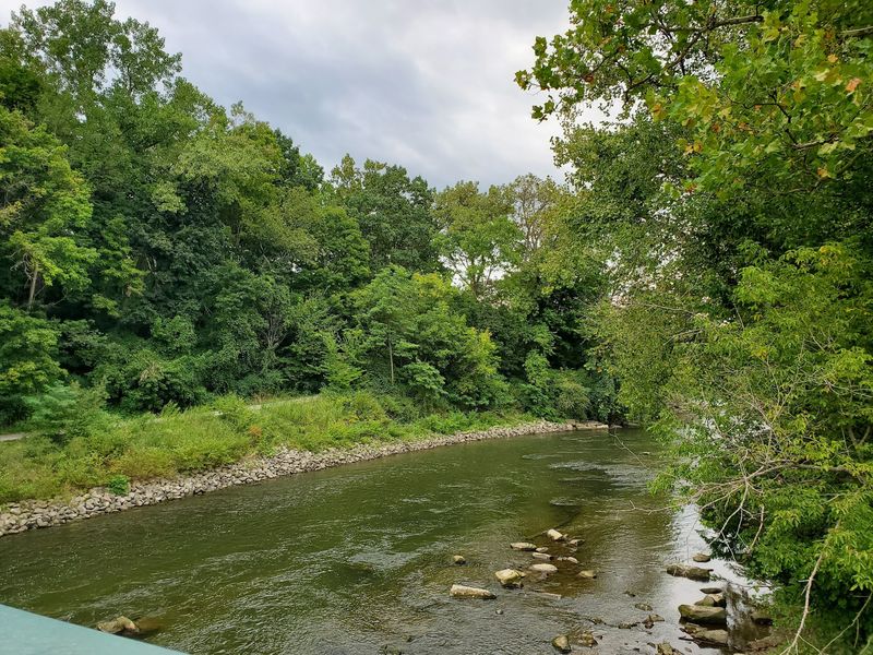 River Views That Keep You Looking Out The Window