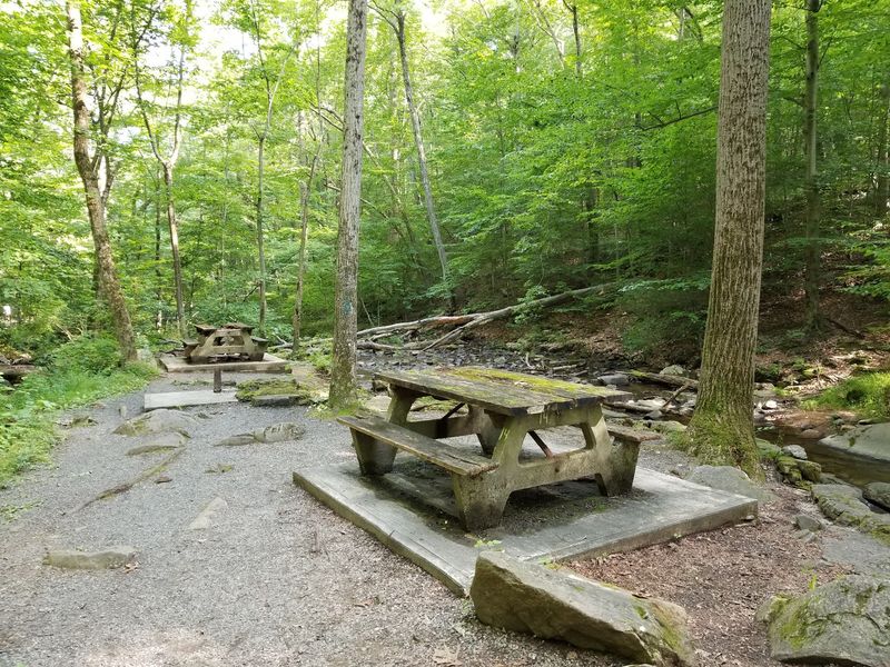 Riverside Trail - Hacklebarney State Park Riverside Trail - Hacklebarney State Park