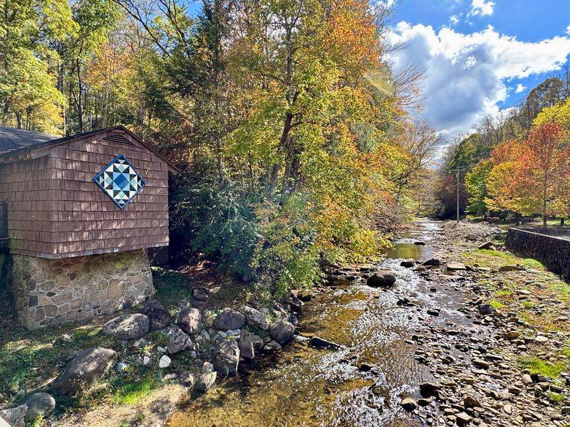 Roan Mountain State Park in Roan Mountain