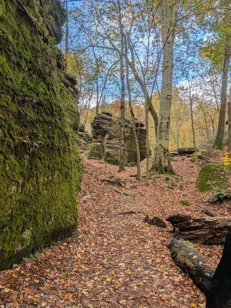 Rock Trails Add Adventure Between Sets