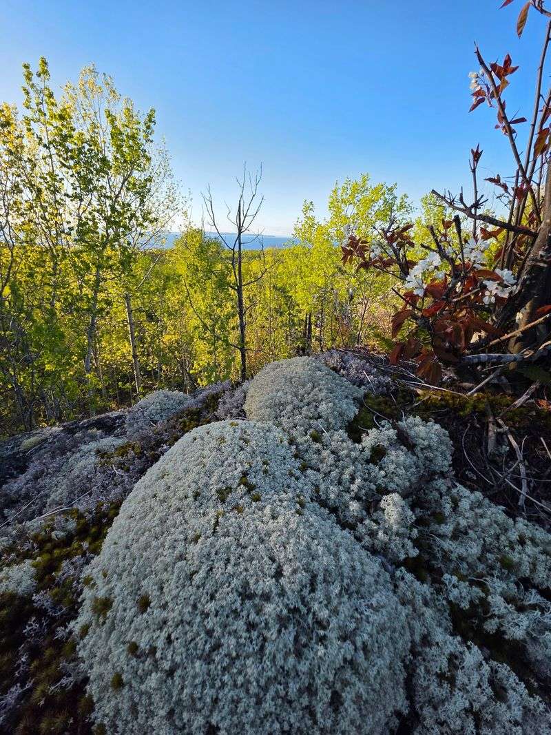 Rock Underfoot Keeps You Paying Attention