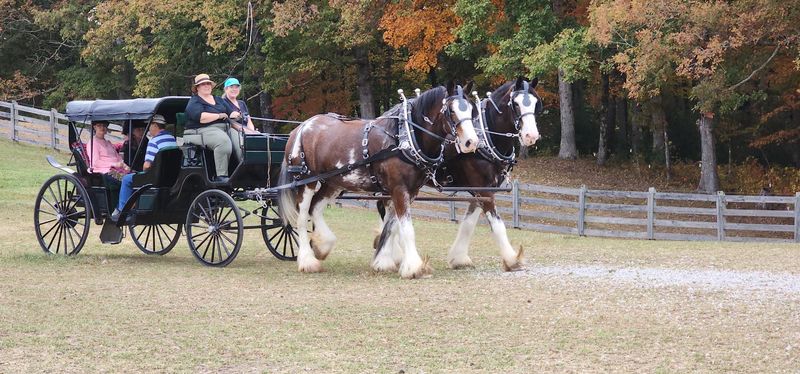 Rolling Through the Scenery Near Big South Fork