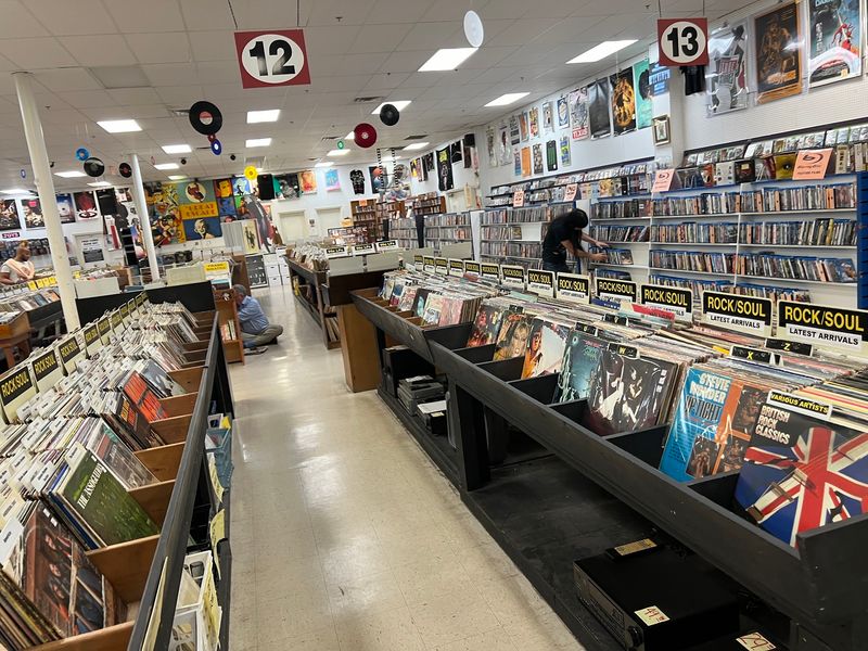Rows and Rows of Records Waiting to Be Discovered