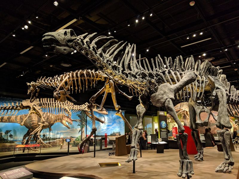Denver Museum of Nature & Science, Denver Denver Museum of Nature & Science, Denver