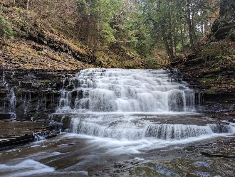 Salt Springs State Park, Susquehanna County Salt Springs State Park, Susquehanna County