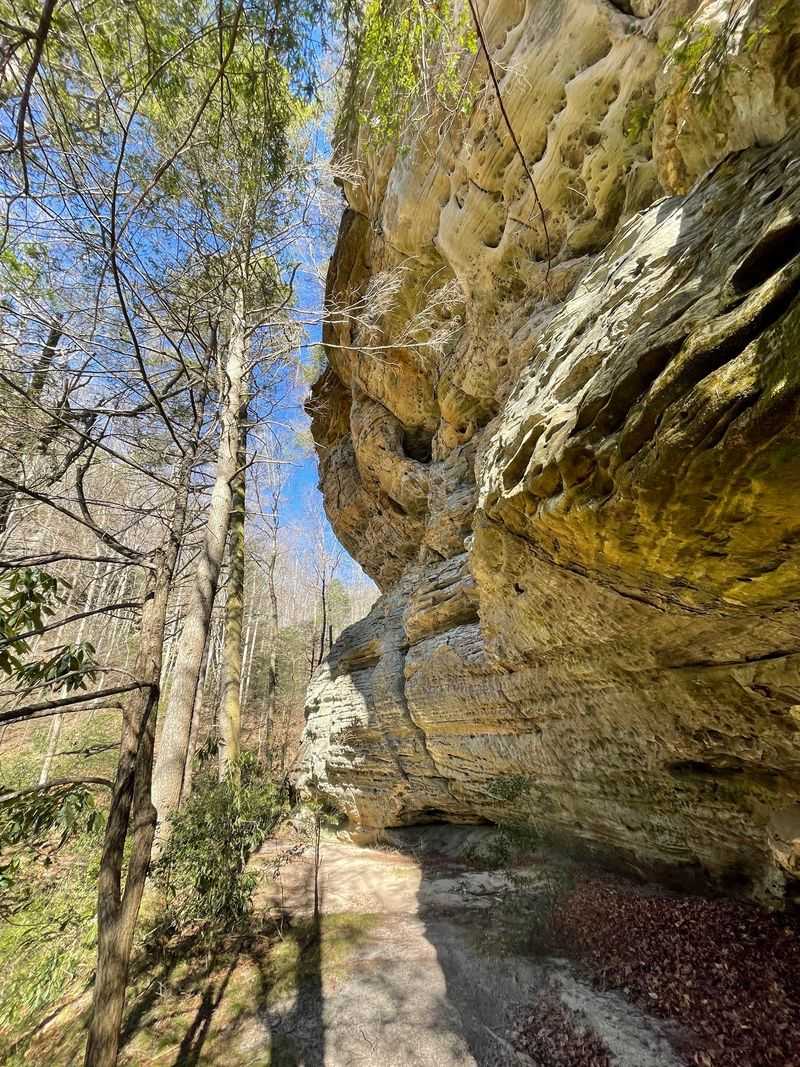 Sandstone Cliffs and Deep Gorges Steal the Show