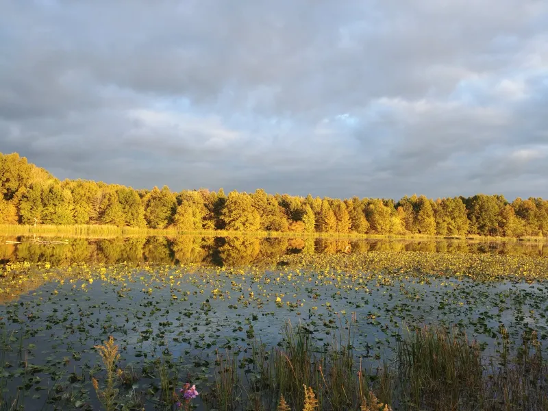 Sandy Ridge Reservation, North Ridgeville