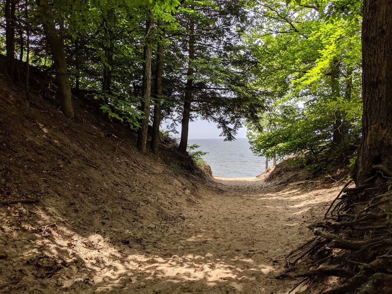 Saugatuck Dunes State Park - Allegan County Saugatuck Dunes State Park - Allegan County