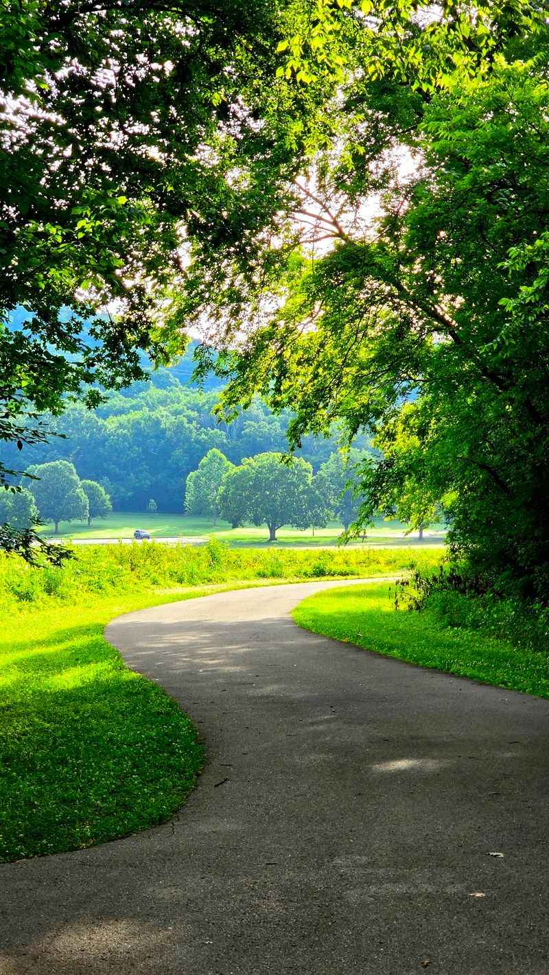 Scenic Drives, Quiet Woods, and Unexpected Views Scenic Drives, Quiet Woods, and Unexpected Views