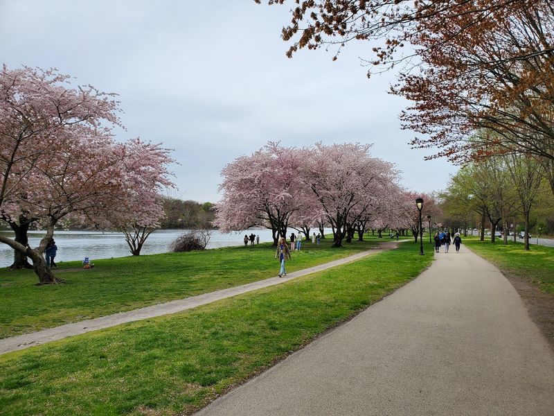 Schuylkill River Trail
