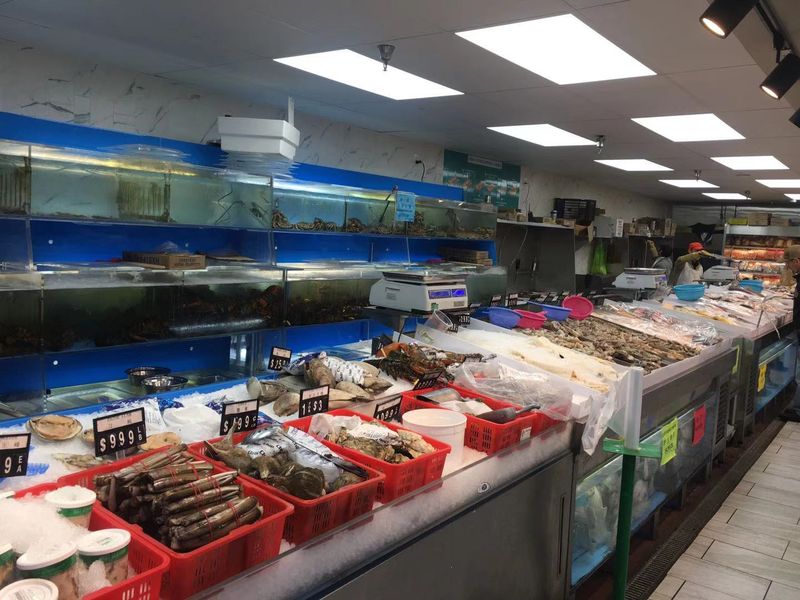 Seafood Tanks and Fresh Counters