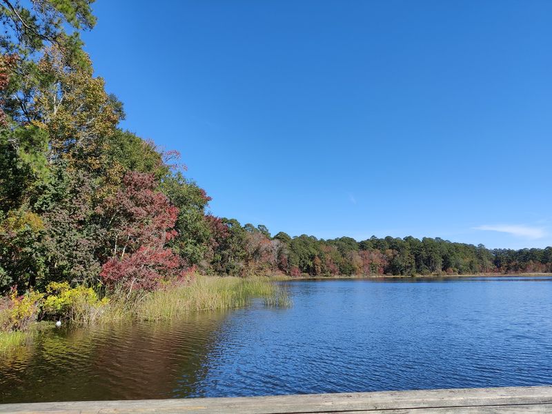 Seasonal Considerations Shape Your Visit Experience