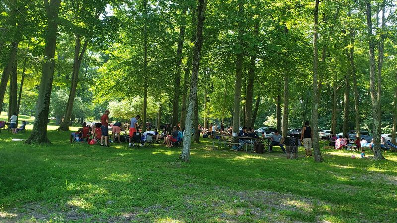 Shady Picnic Spots Make It Easy to Stay All Day
