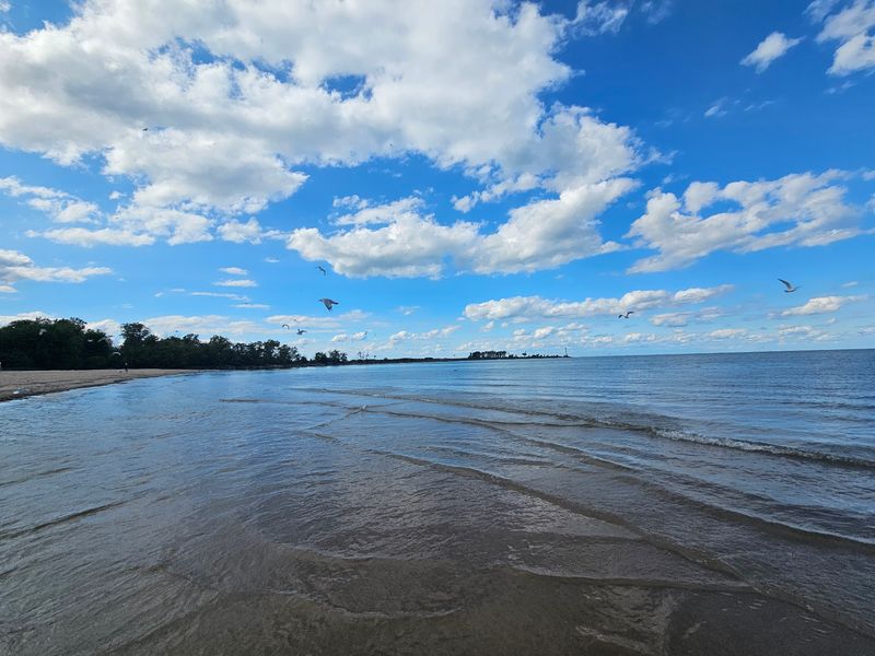Shallow Water That Makes Swimming Feel Easy