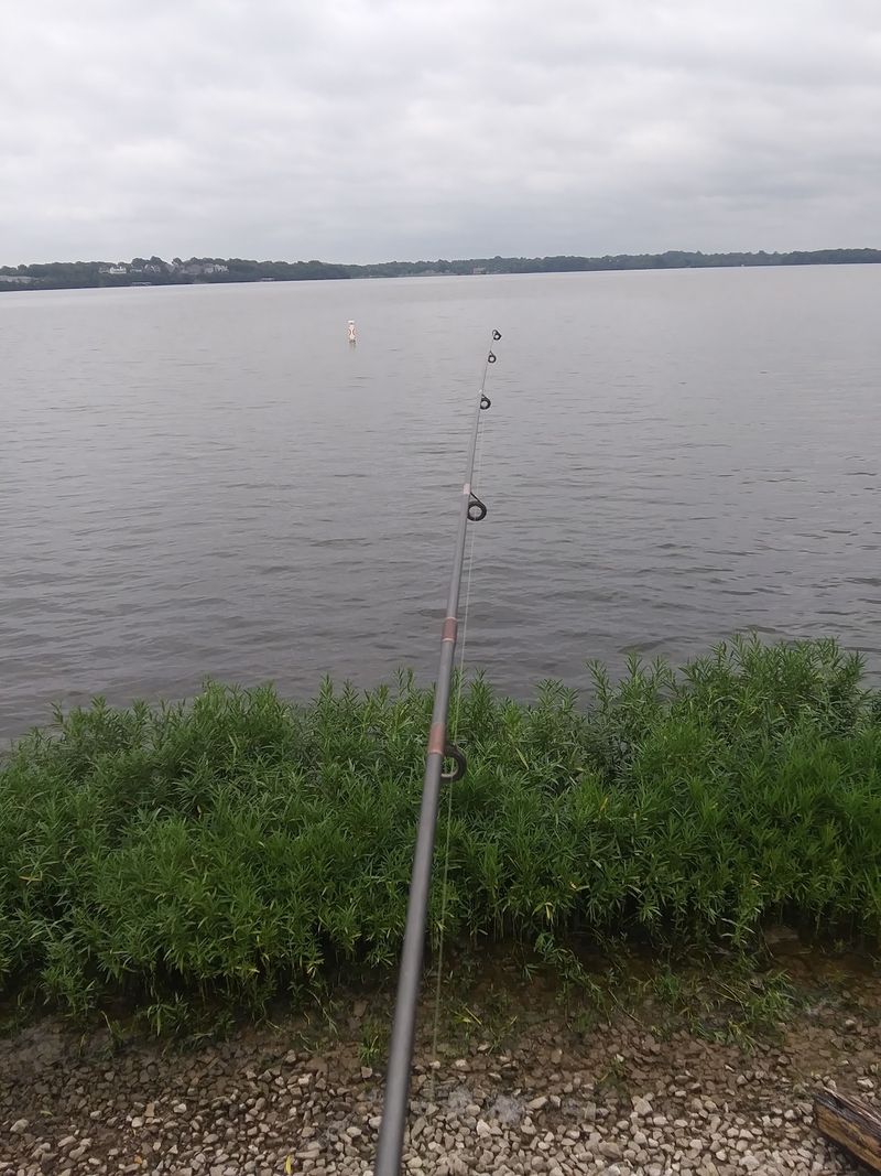 Shore Fishing Spots That Actually Produce Results Shore Fishing Spots That Actually Produce Results