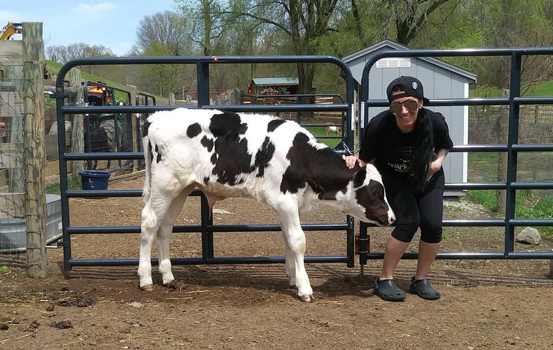 Skylands Animal Sanctuary & Rescue - Wantage Skylands Animal Sanctuary & Rescue - Wantage