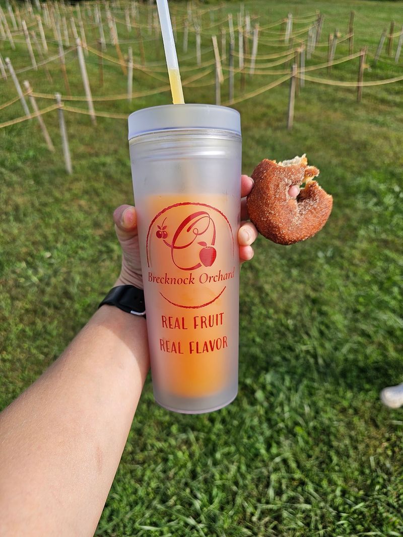 Slushies that prove the fruit is real Slushies that prove the fruit is real