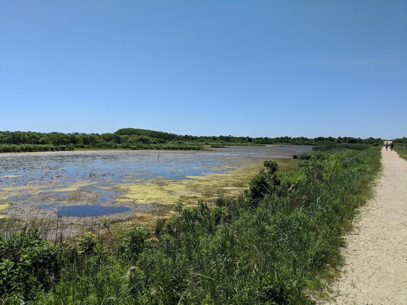 South Cape May Meadows Preserve - Cape May Point South Cape May Meadows Preserve - Cape May Point