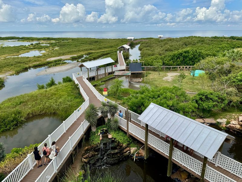 South Padre Island Birding & Nature Center Boardwalks (South Padre Island)