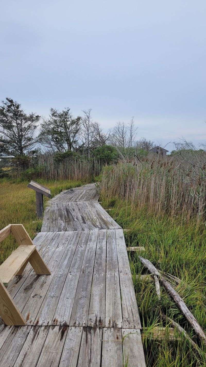 Spizzle Creek Bird Blind Trail - Island Beach State Park Spizzle Creek Bird Blind Trail - Island Beach State Park