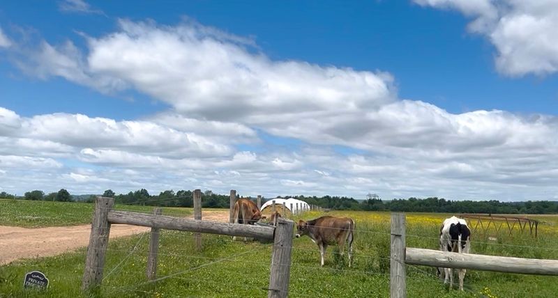 Spring Run Dairy — Pittstown Spring Run Dairy — Pittstown