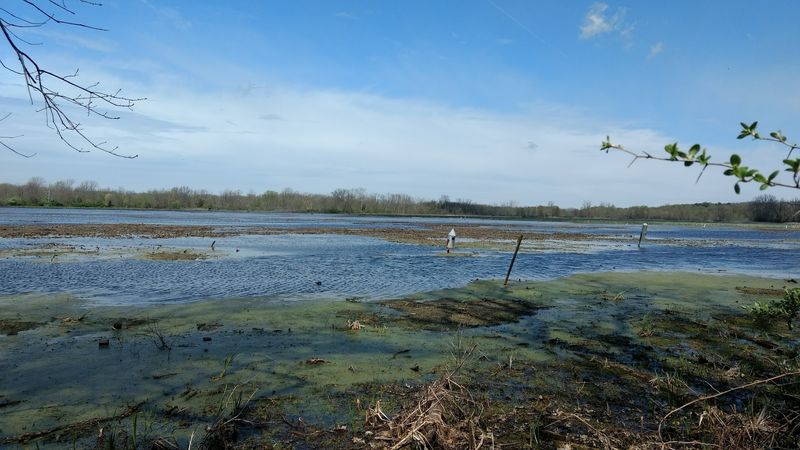 Spring Valley Wildlife Area, Spring Valley
