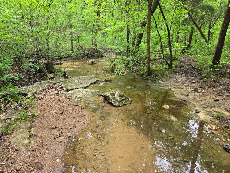 St. Francois State Park (Bonne Terre)