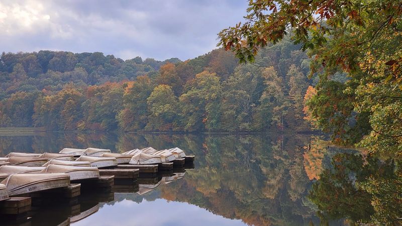 Best Creek-Hunting Tactics Without Missing the Forest Best Creek-Hunting Tactics Without Missing the Forest