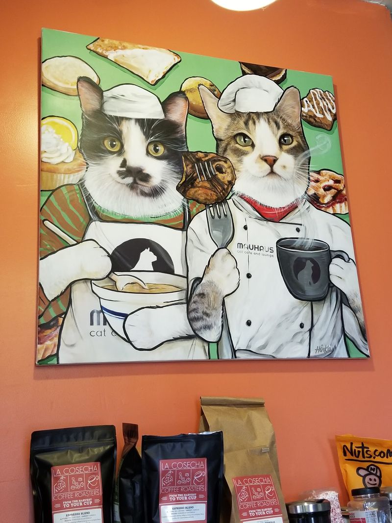 Staff Members Know the Cats and Share Helpful Tips