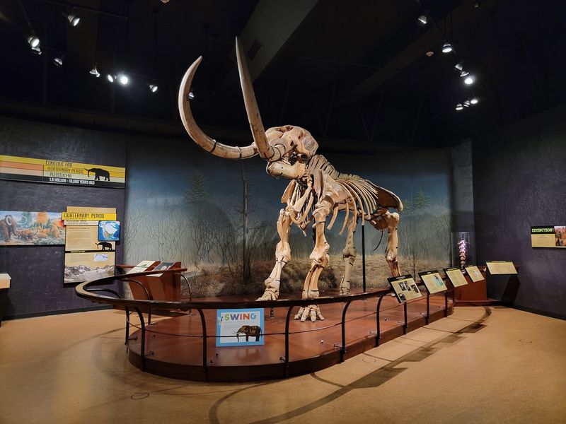 State Museum of Pennsylvania, Harrisburg State Museum of Pennsylvania, Harrisburg