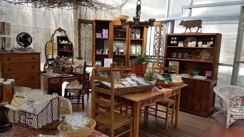 Step Inside the Shop for Herbal Products, Gifts, and Garden-Inspired Treasures