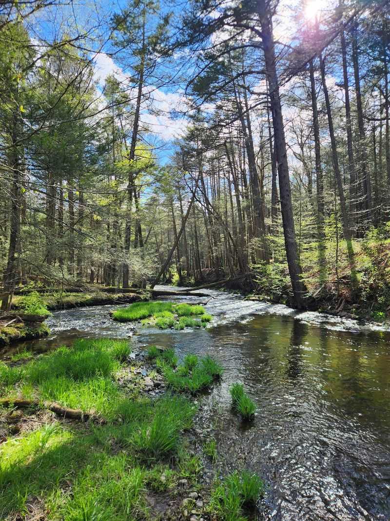 Stokes State Forest - Branchville Stokes State Forest - Branchville
