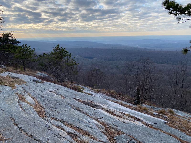 Stokes State Forest Stokes State Forest