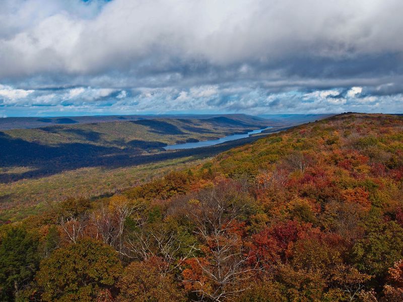 Stony Mountain Lookout Tower