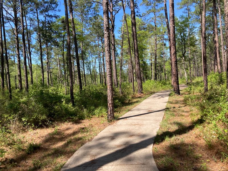 Sundew Trail, Big Thicket National Preserve (Warren)