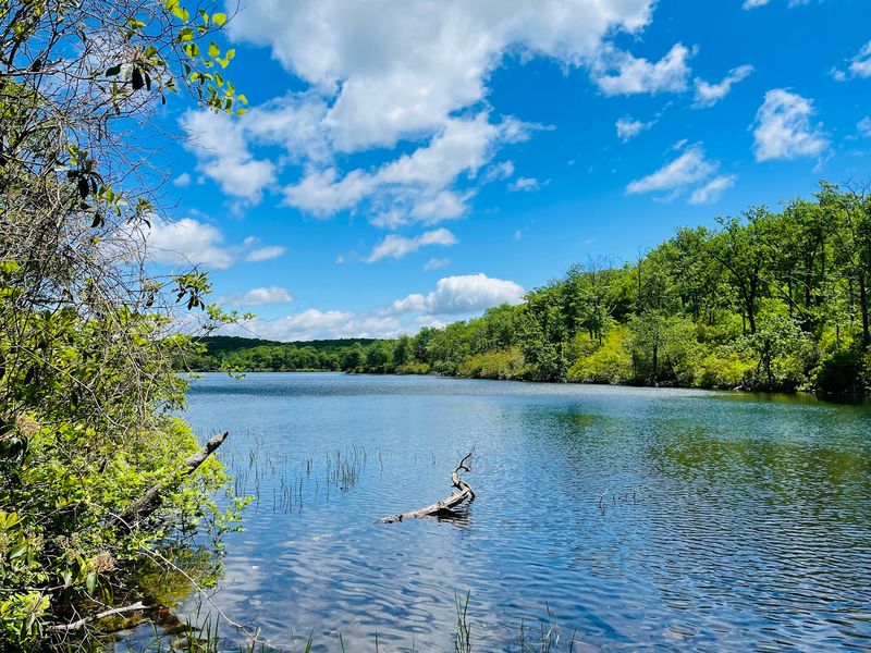 Sunfish Pond Sunfish Pond