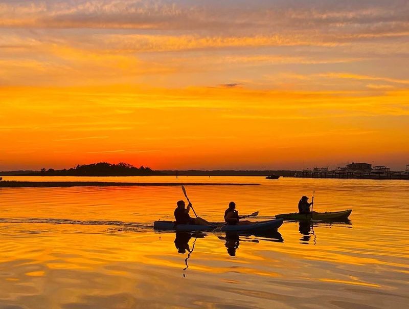 Sunrise Paddles Offer the Chance to Spot Dolphins Sunrise Paddles Offer the Chance to Spot Dolphins